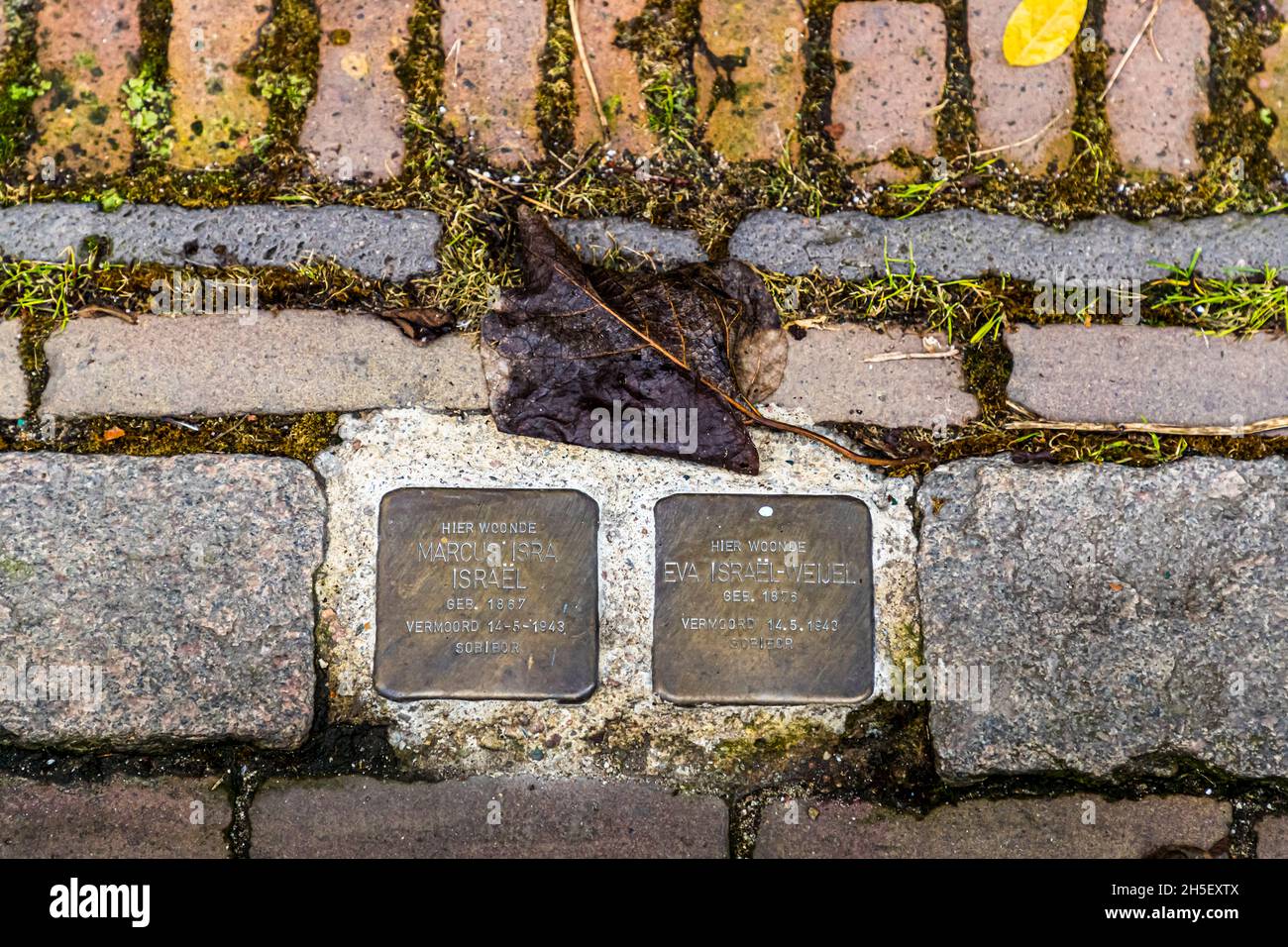 Blocchi di inciampo puntano alle vittime ebraiche dei nazisti a Zutphen, Olanda Foto Stock