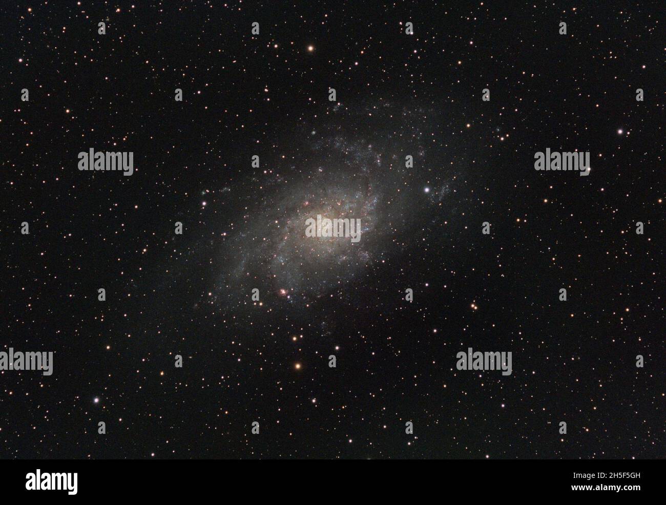 Triangulum Galaxy Foto Stock