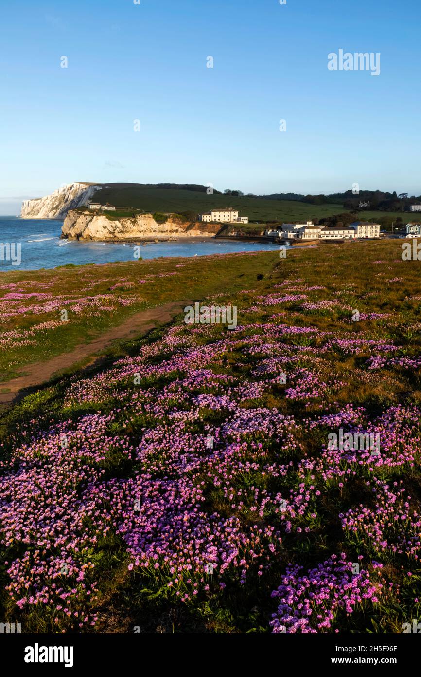 Inghilterra, Isola di Wight, Tennyson Down, Cliff Top View guardando verso Freshwater Bay Foto Stock