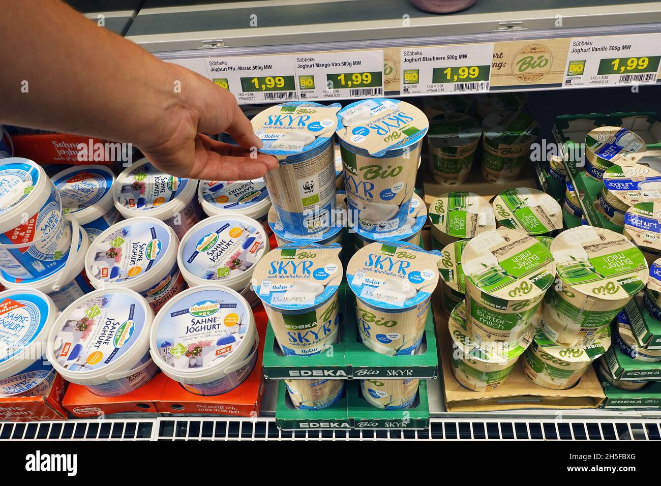 BIO label Imballaggi Skyr in un negozio Foto Stock