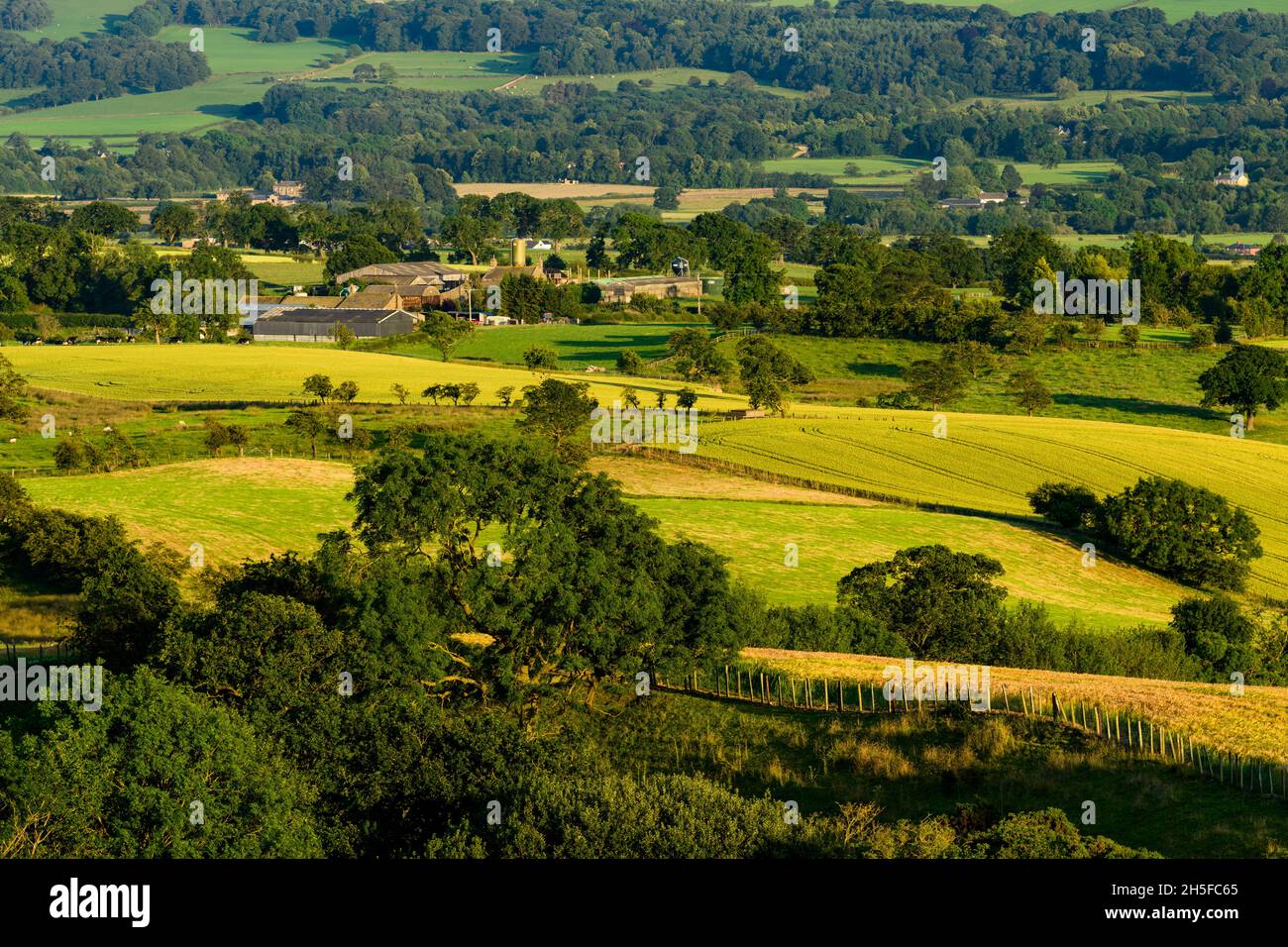 Vista panoramica sulla campagna soleggiata di Wharfedale (ampia valle verde, pendio collinare, edifici agricoli, campi coltivati illuminati dal sole) - North Yorkshire, Inghilterra UK. Foto Stock