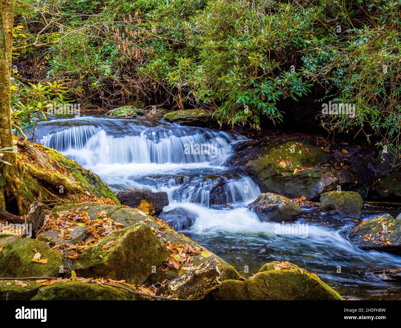 Piccole cascate sul Mud Creek lungo il Mud Creek Trail in Sky Valley nella contea di Rabun Georgia Stati Uniti Foto Stock