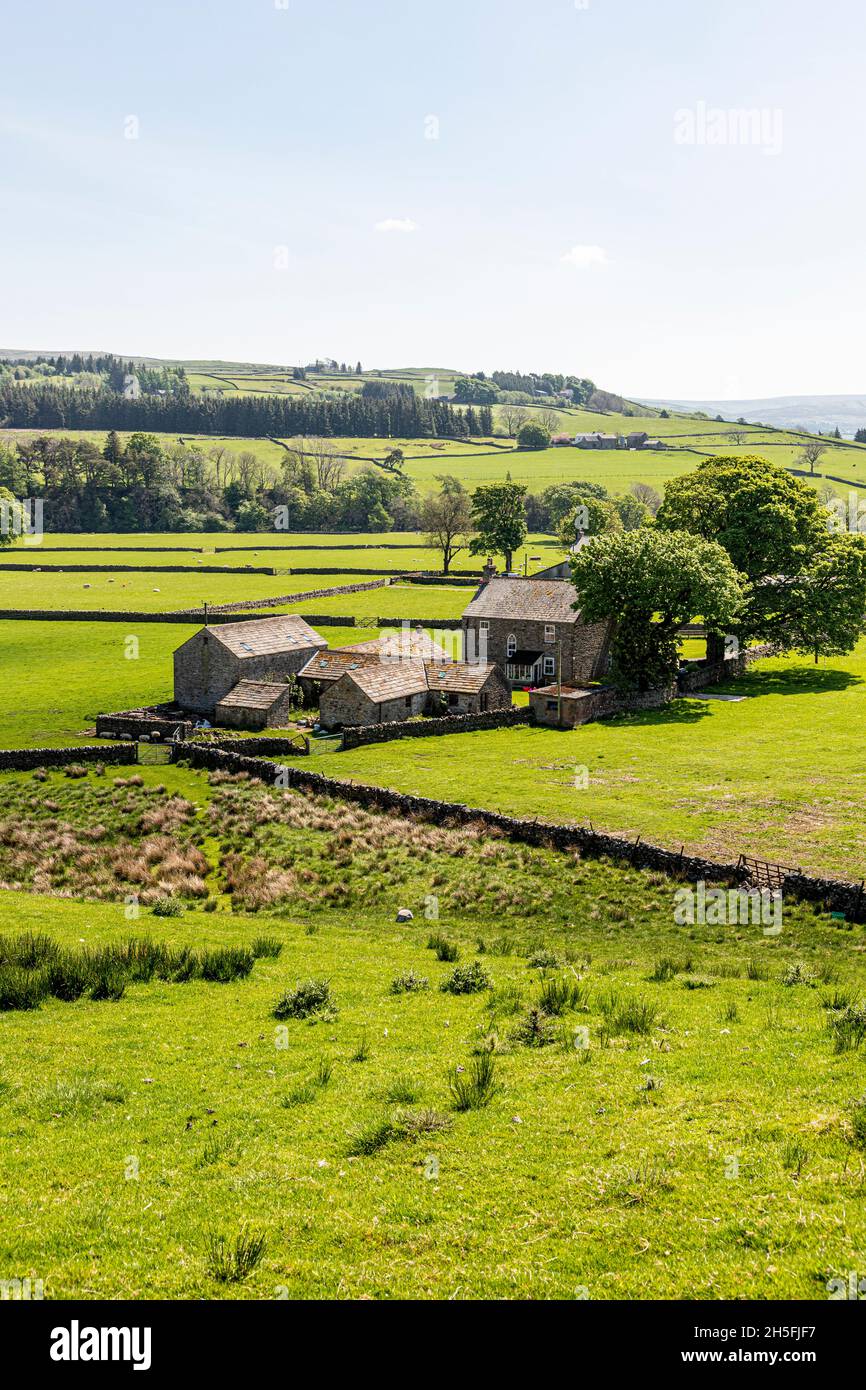 Tradizionali edifici in pietra sulle Pennine accanto alla valle del South Tyne River a Leadgate, Northumberland Regno Unito Foto Stock