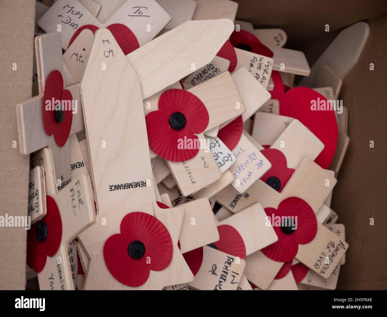 Scatole di papavero e croci in attesa di Volontarii a piantare con croci nel campo della memoria Abbazia di Westminster, gli omaggi portano messaggi personali Foto Stock