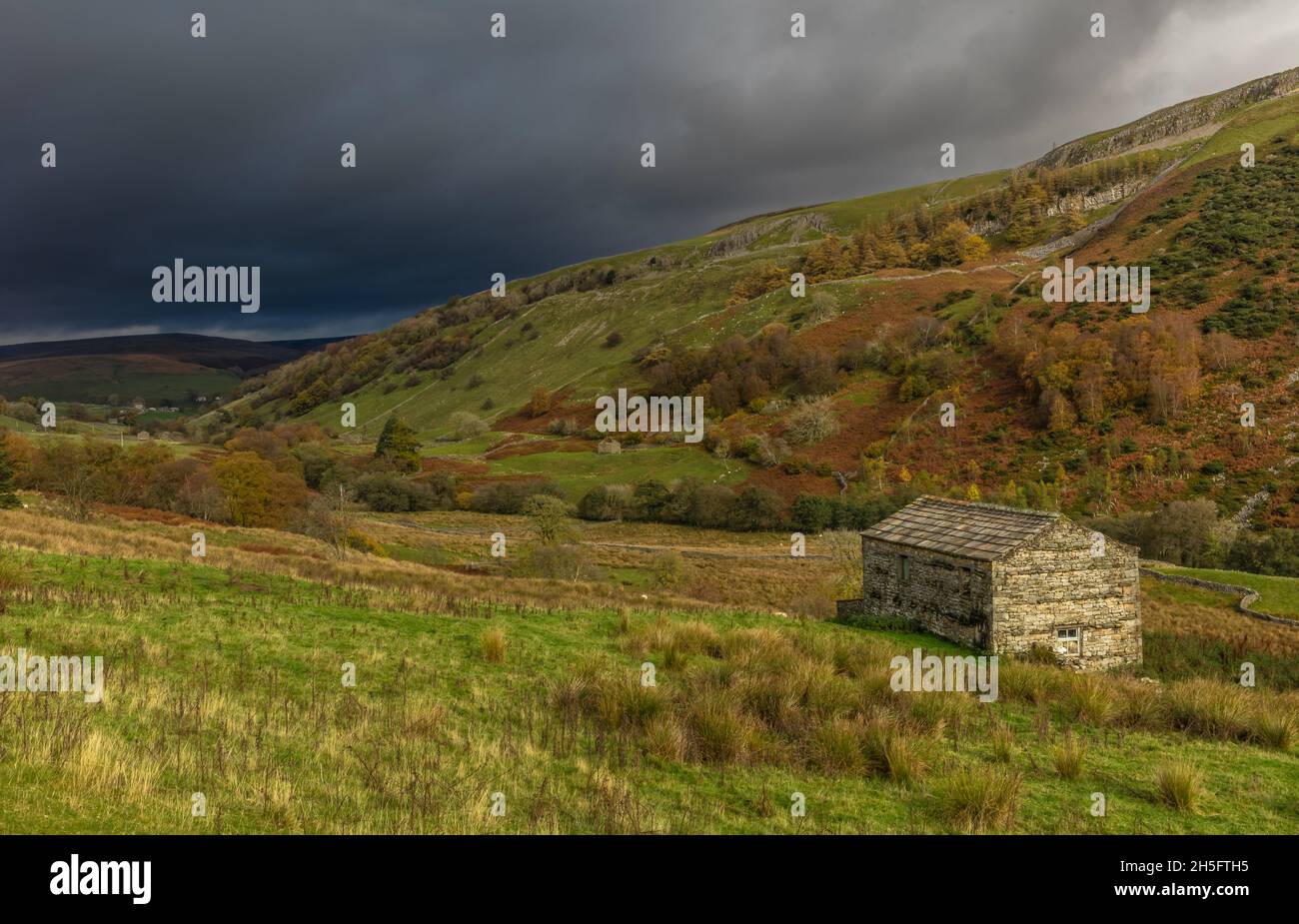 Cieli invernali tempestosi su Swaledale. Fienile in pietra o casa di vacca con bracken color rustset, alberi e erbe. Keld, Yorkshire Dales, Regno Unito. Spazio per c Foto Stock
