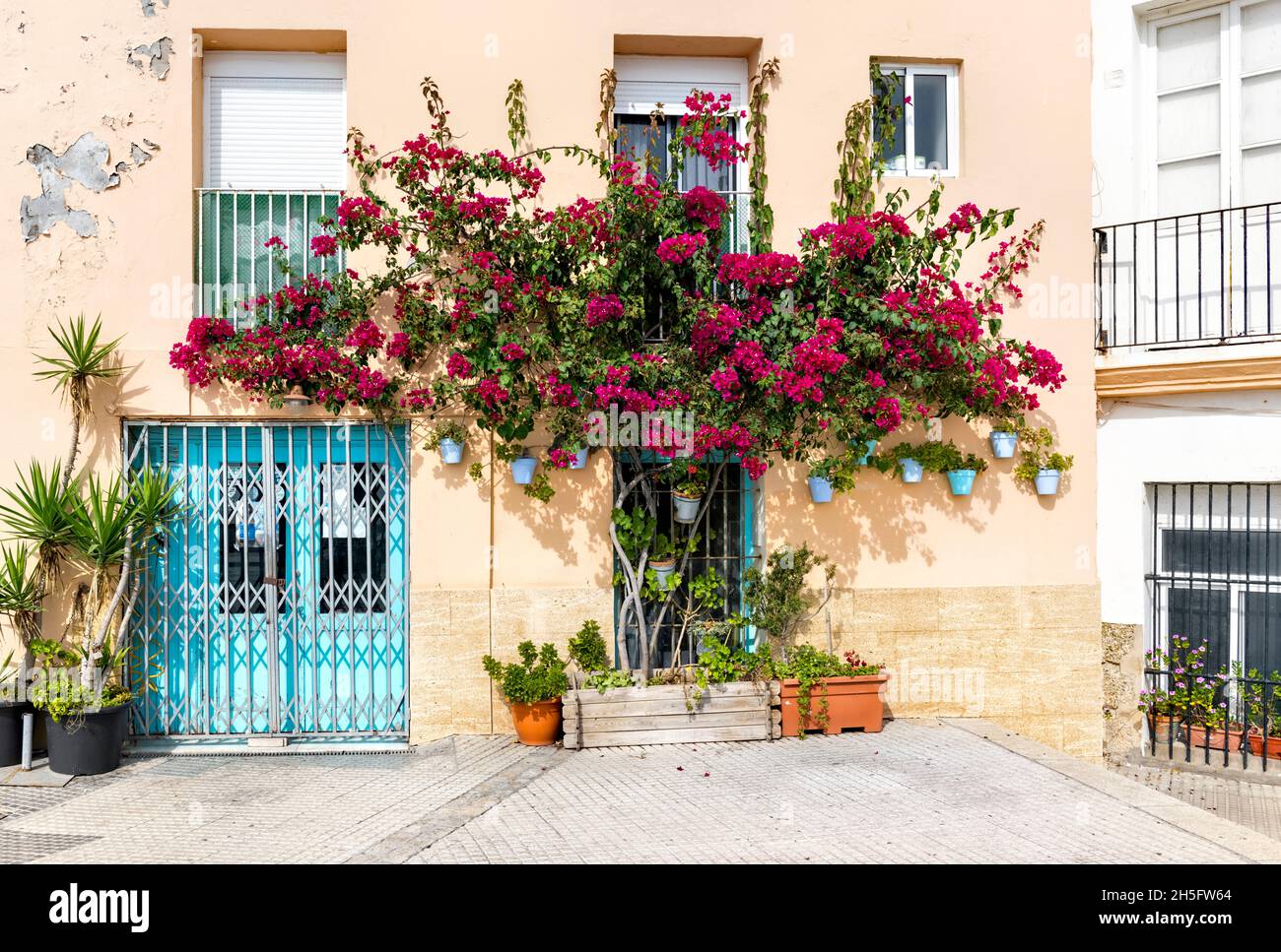 Buganvillea rosa che circonda porta con cancello blu, Cadiz Spagna Foto Stock