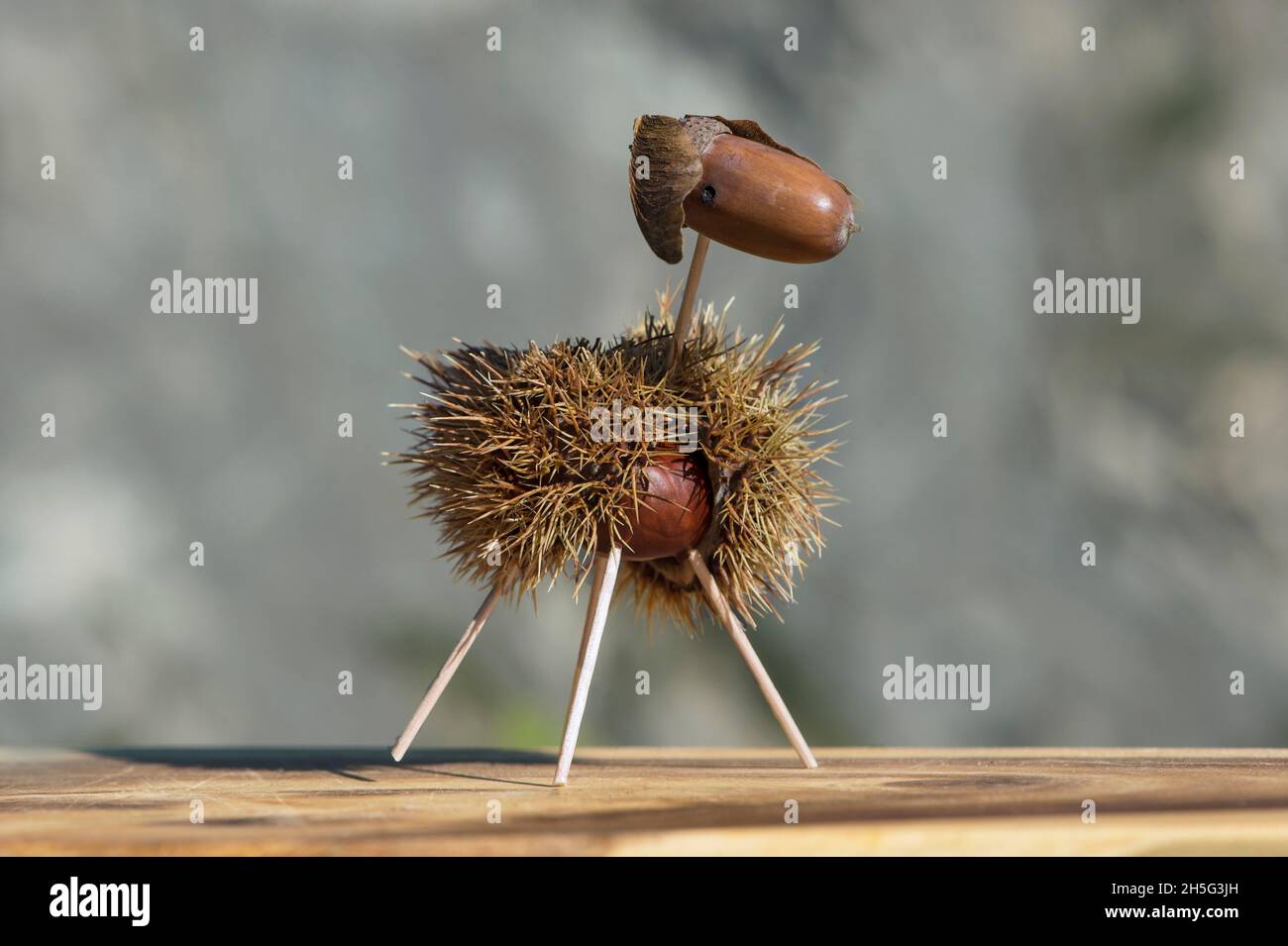 Pecora, divertente figura animale fatta da conchiglie di castagno e ghiande di quercia in autunno, Svizzera Foto Stock