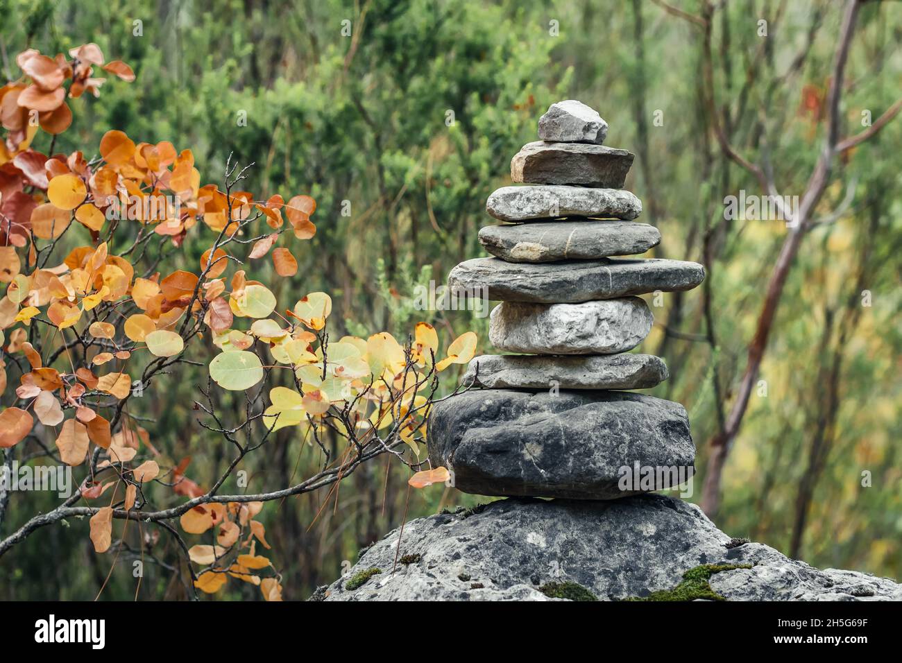 Pietre di equilibrio sulla roccia nella foresta di autunno Foto Stock