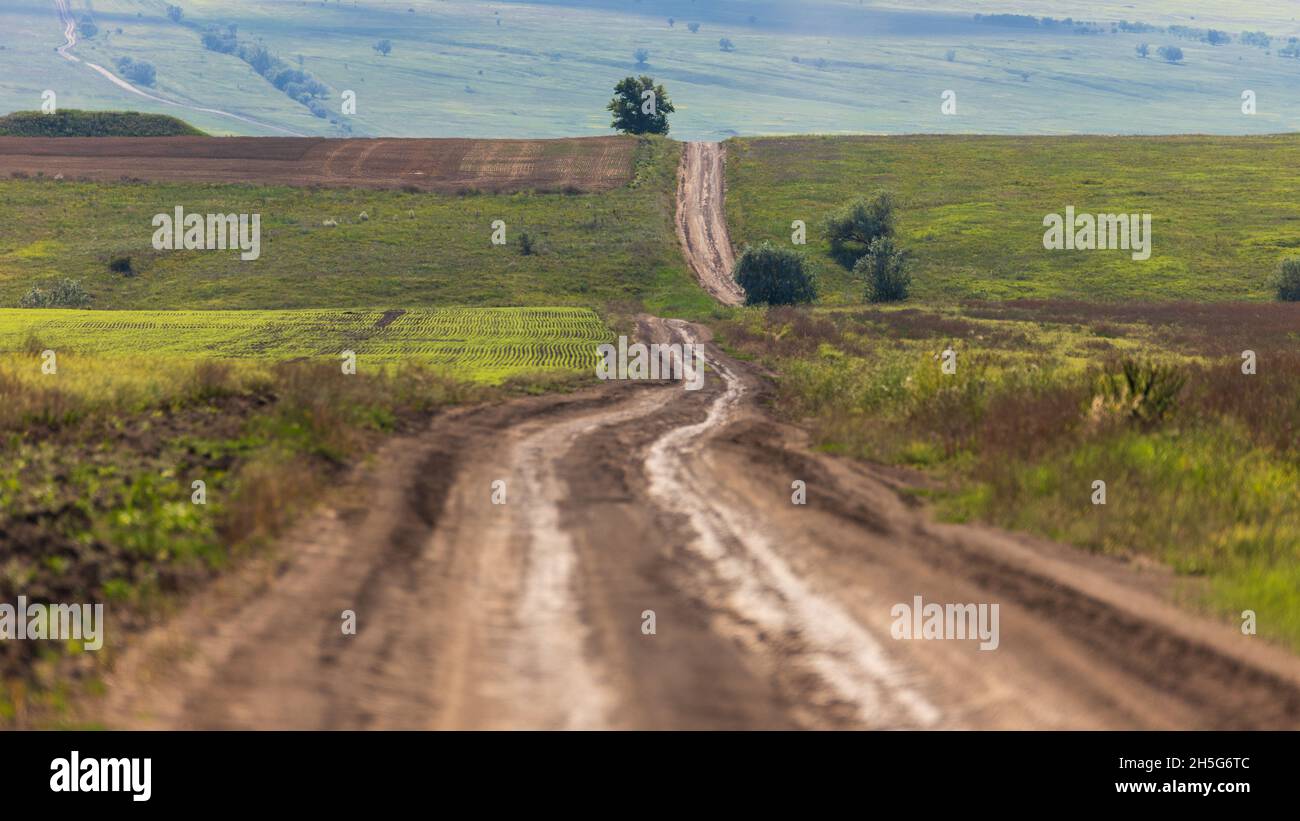 Strada di campagna attraverso campi verdi, colline che si estendono fino alla distanza oltre l'orizzonte Foto Stock