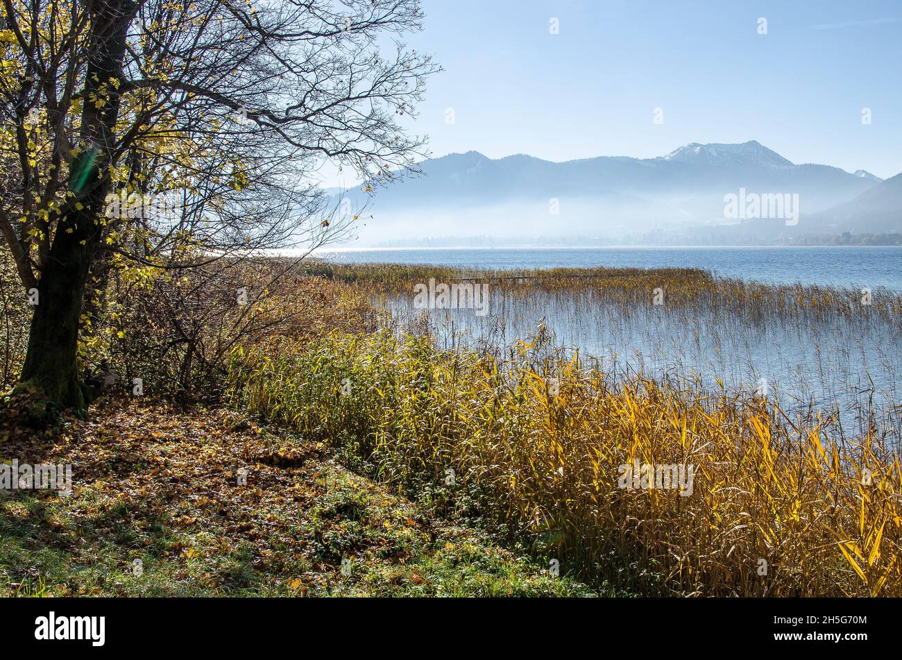 Lago Tegernsee e le montagne che circondano il lago Tegernsee in autunno con un po' di nebbia e i bellissimi colori autunnali dell'altopiano alpino Foto Stock