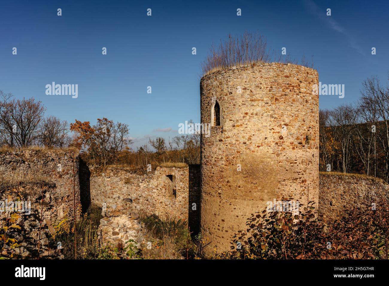 Rovine del Castello di Valdek in Boemia centrale, Brdy, Repubblica Ceca. È stato costruito nel 13 ° secolo da famiglia aristocratica. Ora c'è un'area di addestramento militare Foto Stock