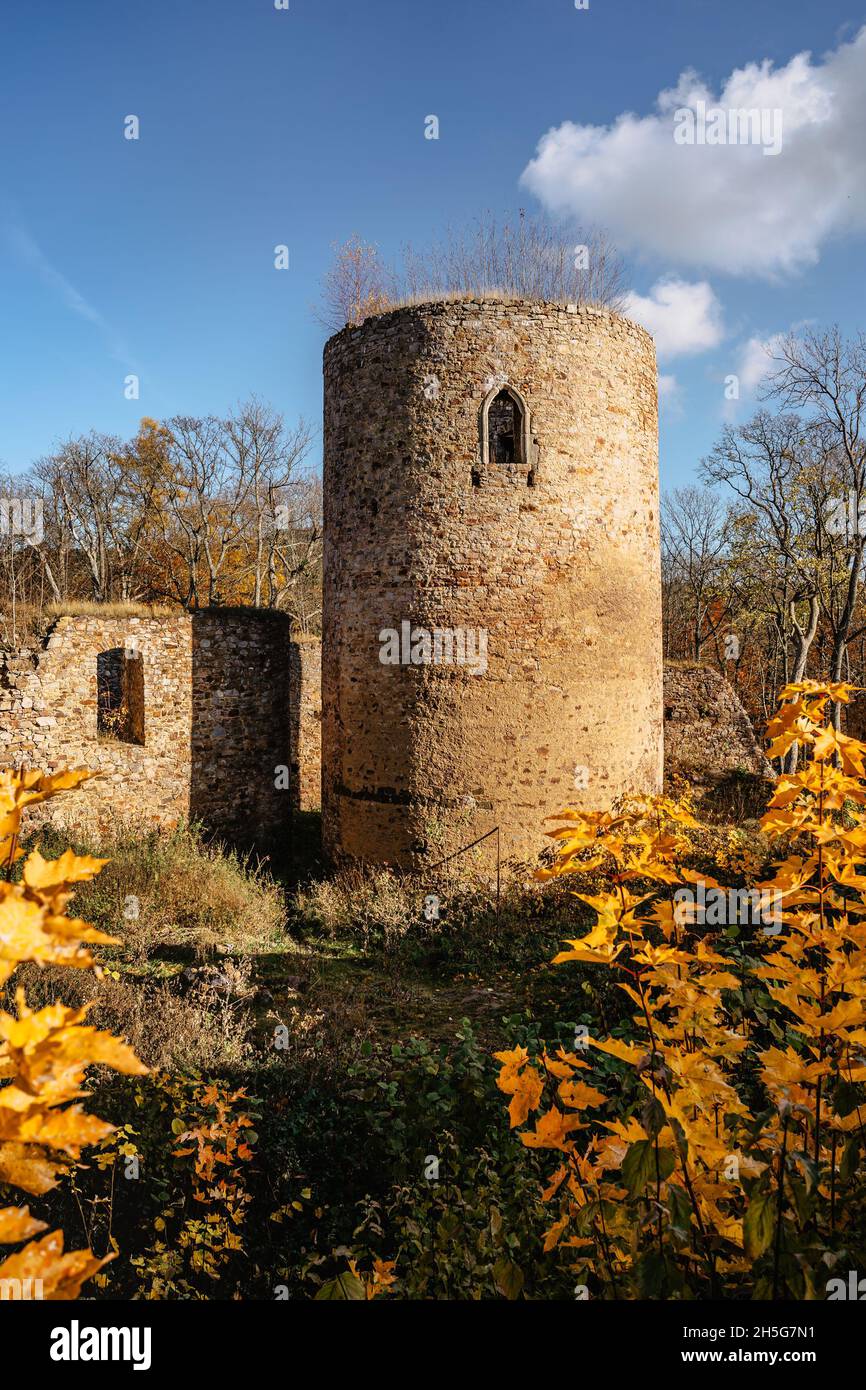 Rovine del Castello di Valdek in Boemia centrale, Brdy, Repubblica Ceca. È stato costruito nel 13 ° secolo da famiglia aristocratica. Ora c'è un'area di addestramento militare Foto Stock