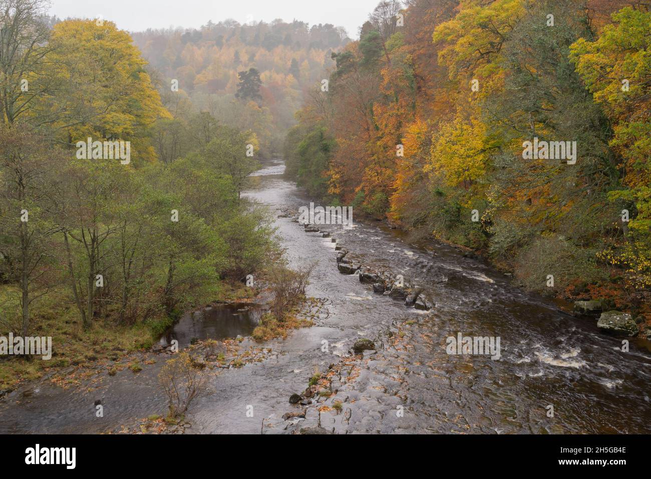 Il fiume Allen a Whitfield in Northumberland Foto Stock