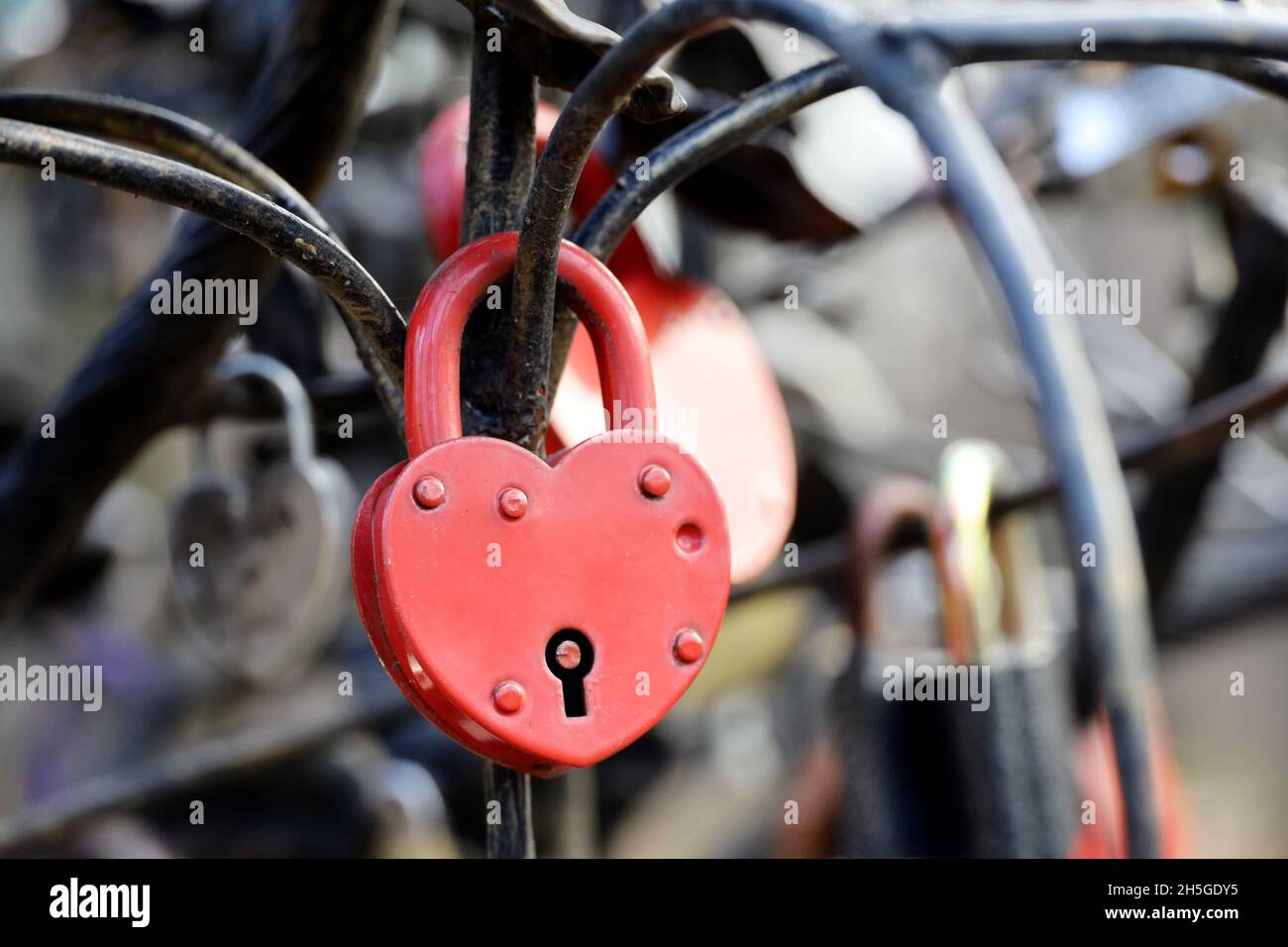 Lucchetti a forma di cuore. Serrature appese in un parco, simbolo dell'amore eterno Foto Stock