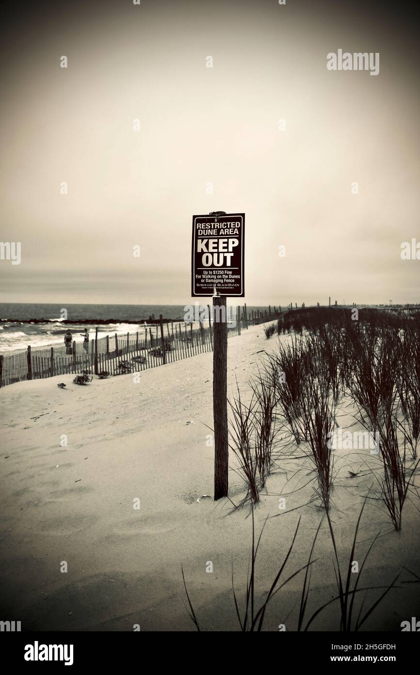 "Keep out" Restricted Dune Area posta di fronte a spiaggia di legno o Dune Fence protegge duna a Long Beach Island, NJ, USA. Erba delle dune Foto Stock