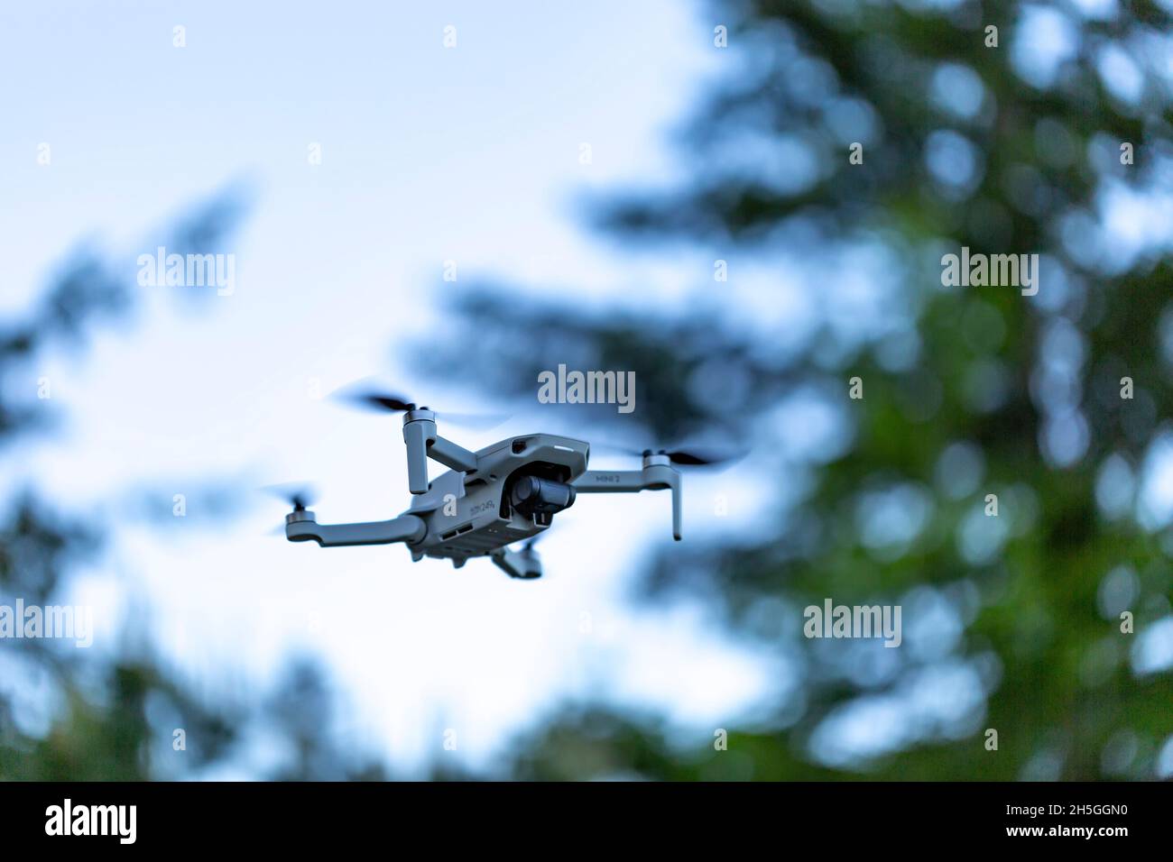 Piccolo drone in volo in un parco; Vancouver, British Columbia, Canada Foto Stock