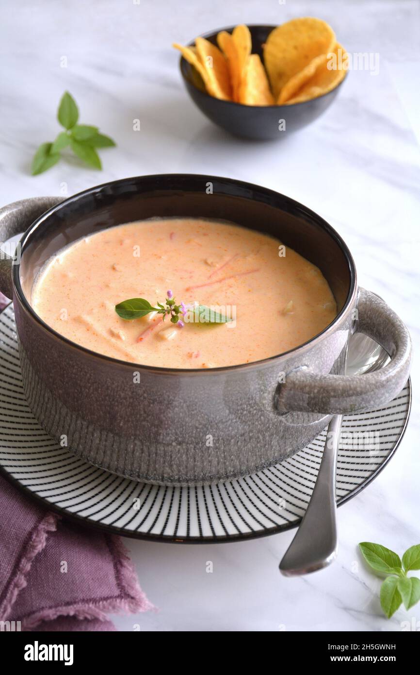 Zuppa di curry rosso tailandese piccante e cocco in una rustica ciotola di terracotta con cracker in formato verticale. Contorno basilico tailandese. Foto Stock