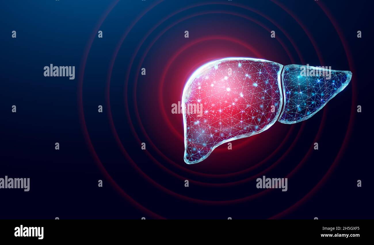 Dolore epatico umano. Struttura a reticolo a basso poli. Concetto per medico, farmacologia, trattamento dell'epatite. Illustrazione Vettoriale