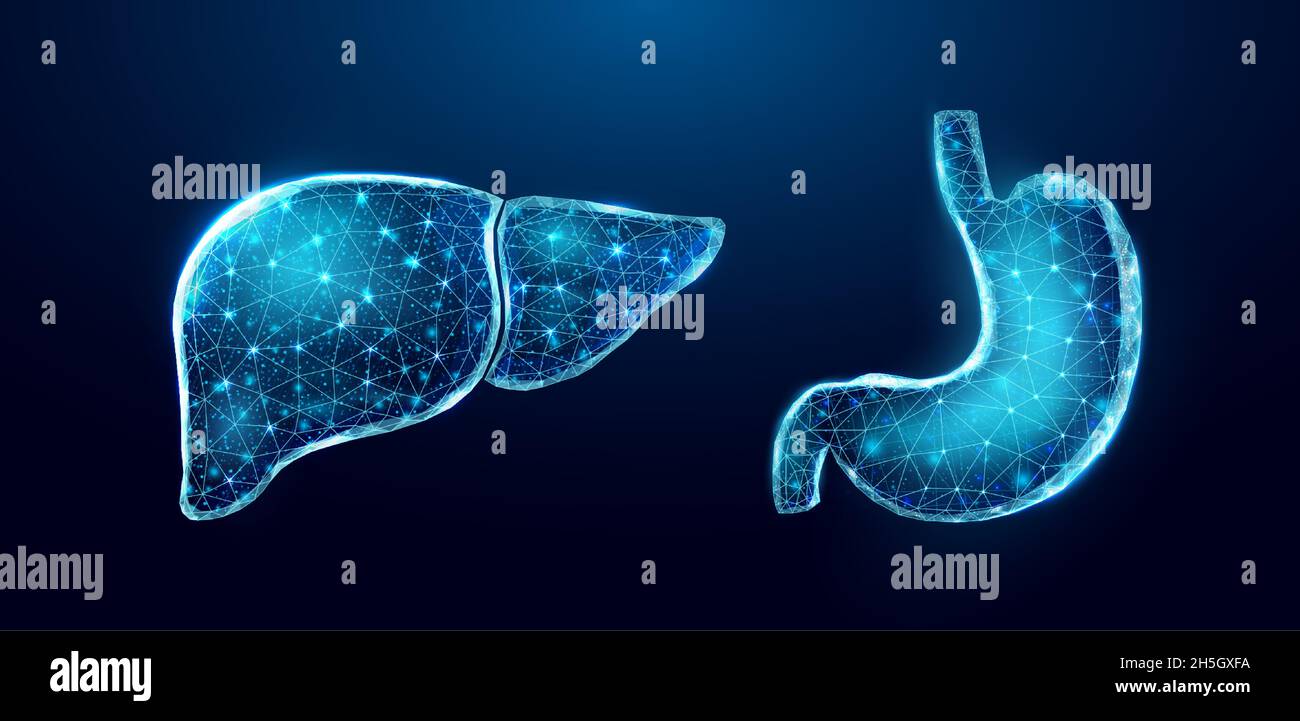 Fegato umano. Struttura a reticolo a basso poli. Concetto per medico, trattamento dell'epatite. Illustrazione Vettoriale