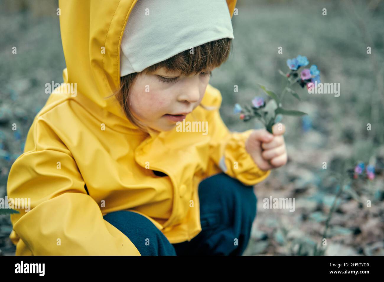 Il bambino in giacca gialla con cappuccio è pucking primi fiori primavera blu nella foresta Foto Stock