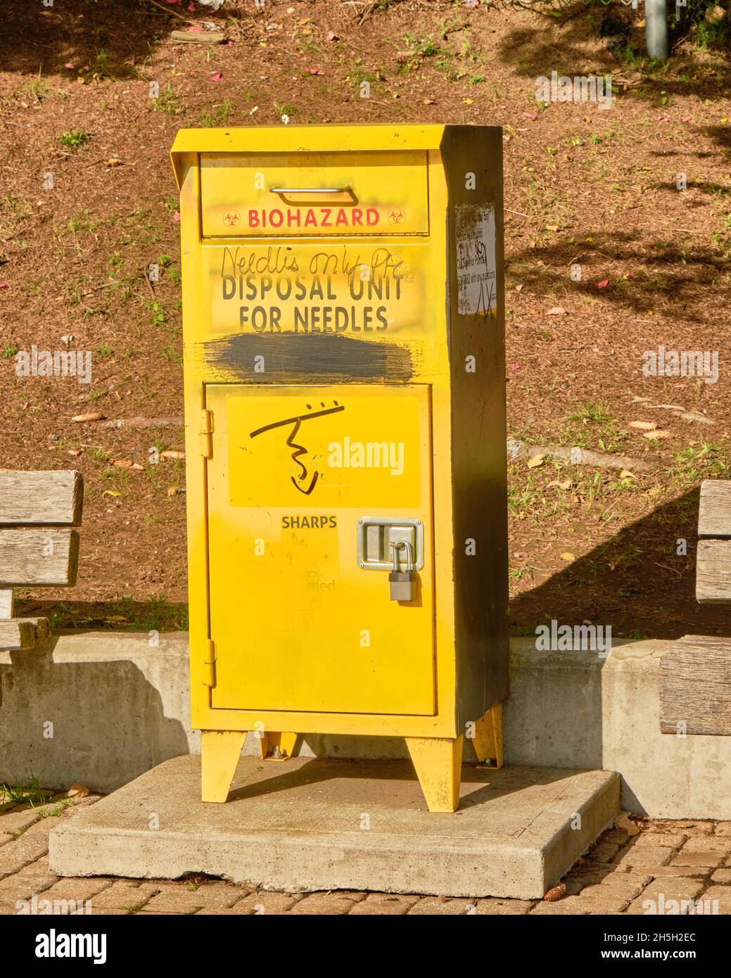 Contenitore per lo smaltimento dell'ago molto grande situato in un parco cittadino di Thunder Bay Ontario. Foto Stock