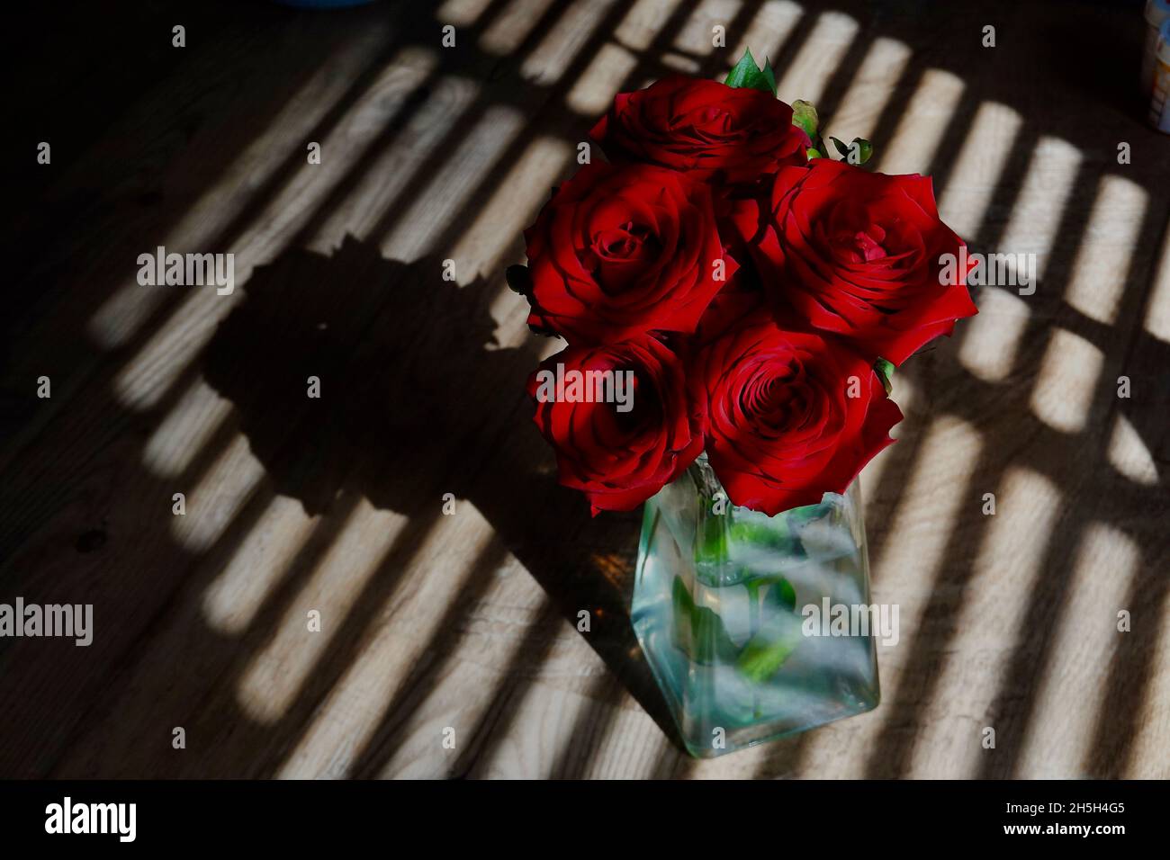 Un bouquet di rose rosse illuminate da un piccolo fascio di luce solare. Foto Stock
