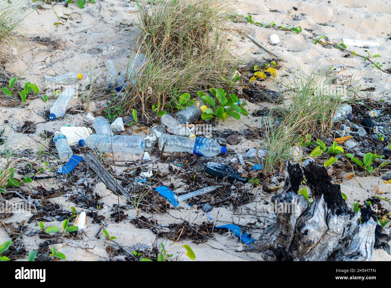 Rifiuti di plastica lavati in spiaggia, Penisola di Cape York, Queensland settentrionale, Australia Foto Stock