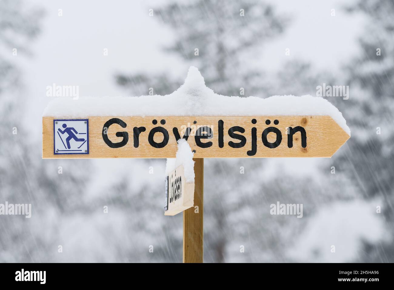 Insegna sci di fondo in Svezia Foto Stock