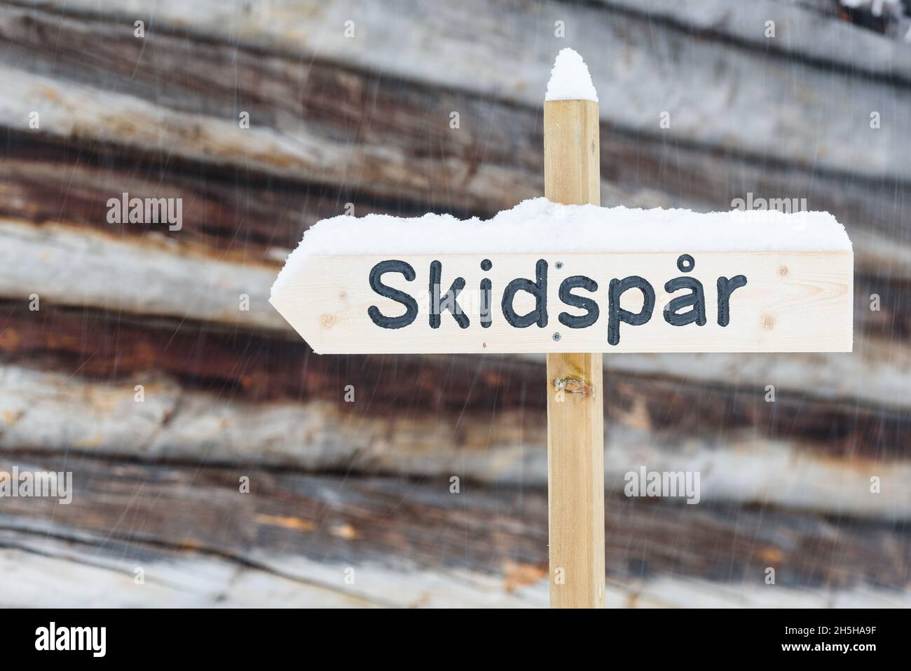 Insegna sci di fondo in Svezia Foto Stock