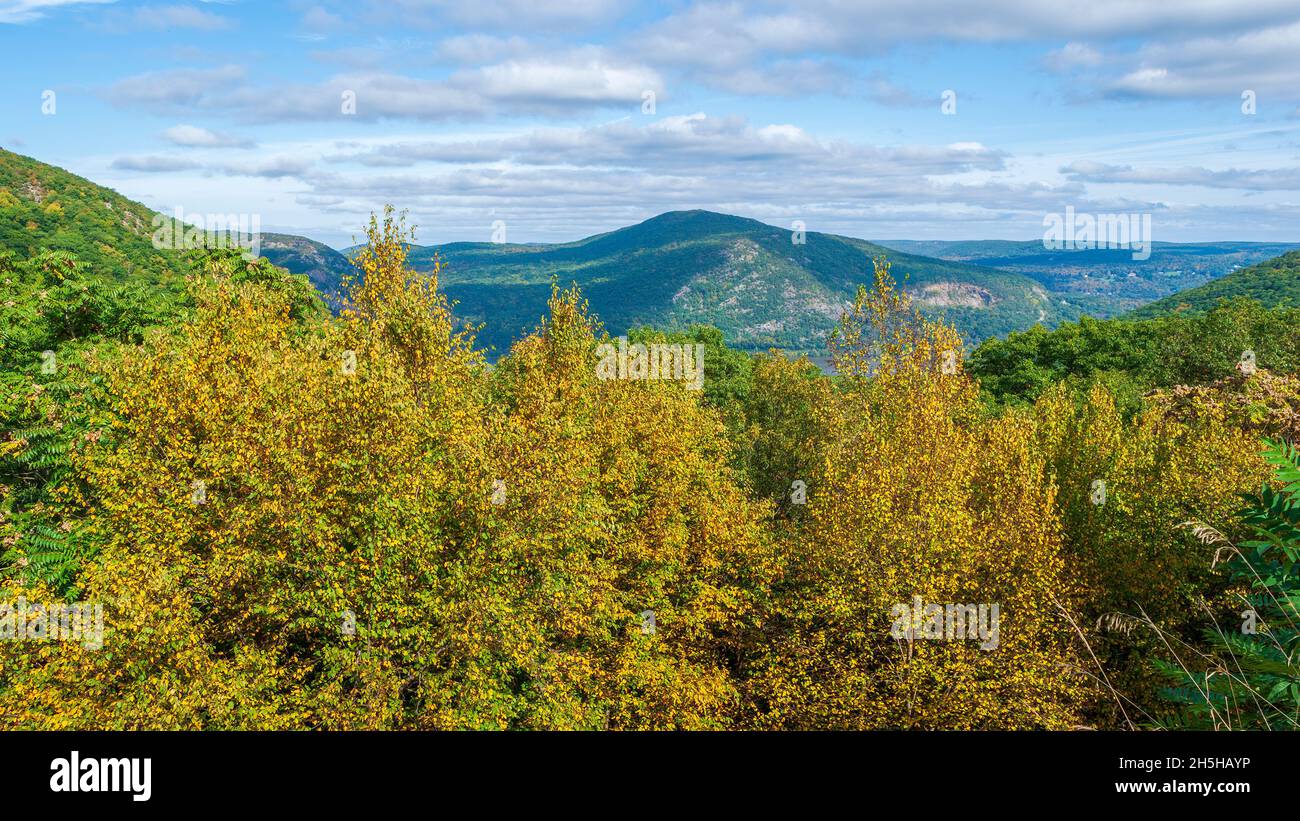 Vista della Hudson Valley e delle Highlands dal punto di osservazione sulla Route 9W sulla Storm King Mountain, New York. Primo piano degli alberi di betulla nel fogliame autunnale Foto Stock