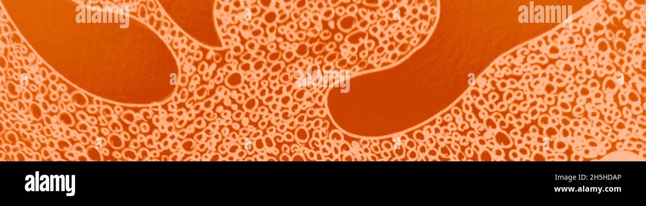 Scriba astratto. Linea di graffio arancione. Barattone arancione disegnato a mano. Muro inchiostro grafico. Design di scribbles Gold Mark. Grana. Pareggio a mano. Rosso Foto Stock