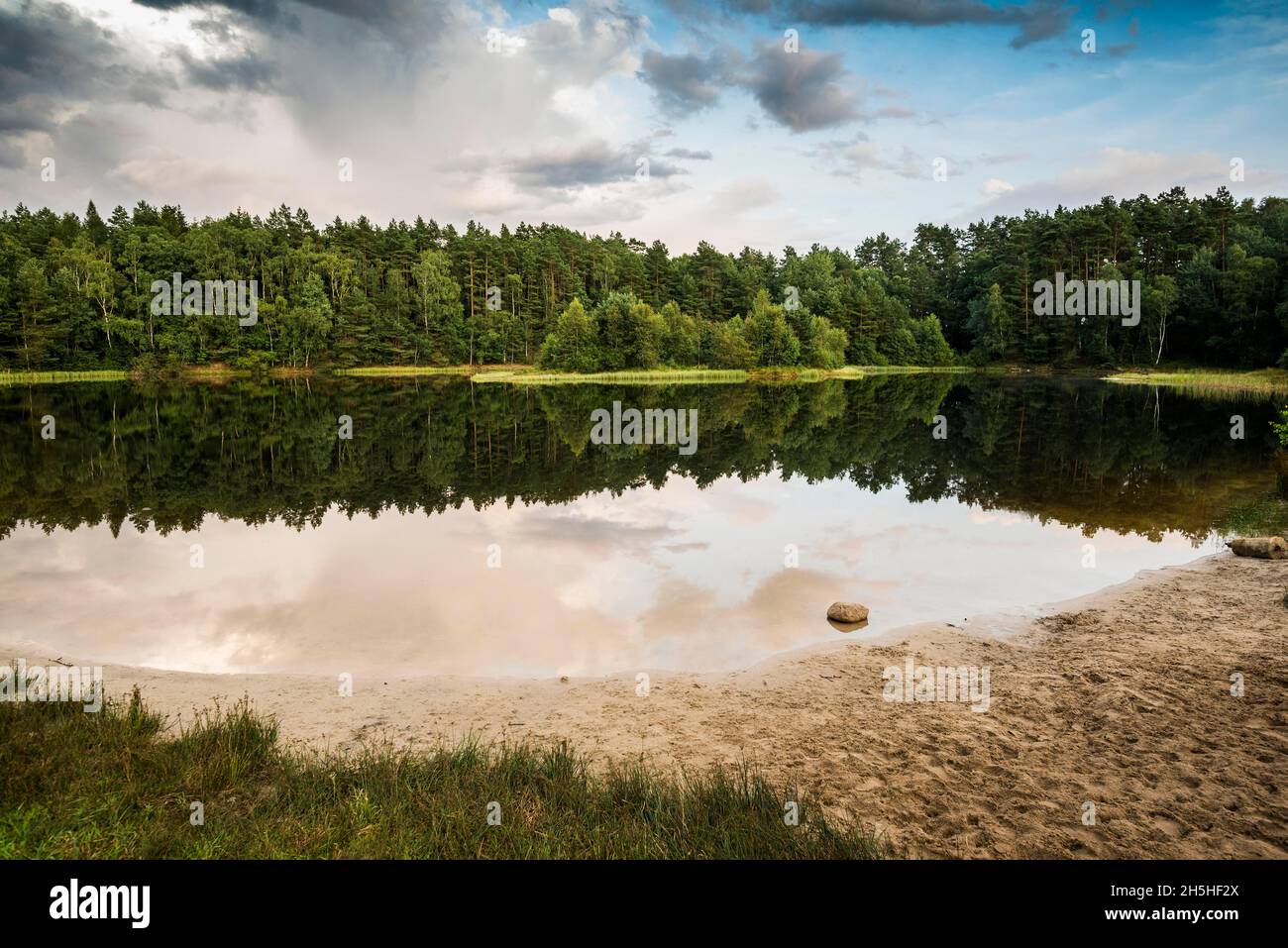 Lago con riflessione d'acqua, Fassberg, Southern Heath, Parco naturale di Lueneburg Heath, bassa Sassonia, Germania Foto Stock