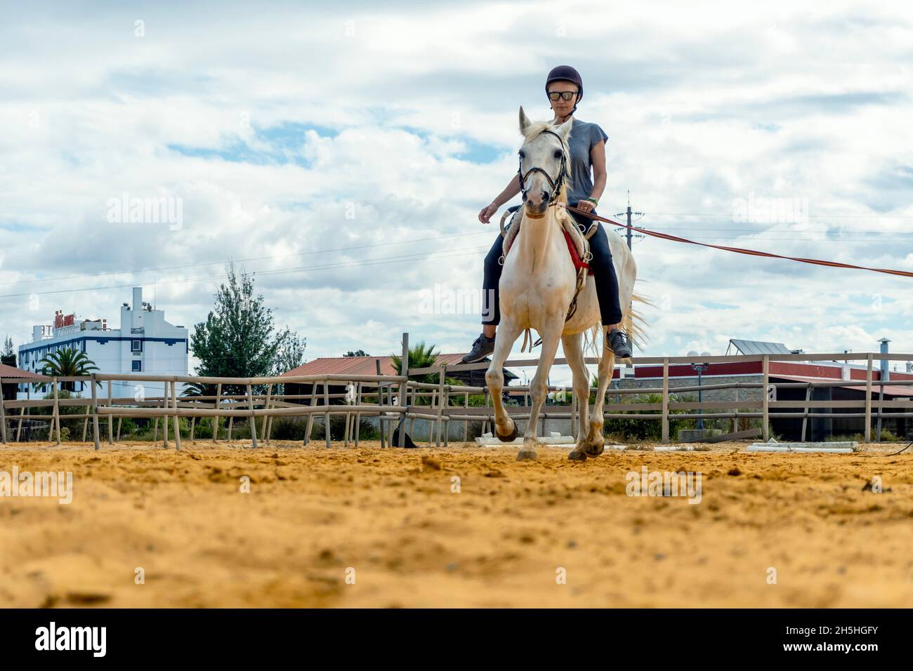 Donna che prende lezioni di equitazione in un paddock Foto Stock