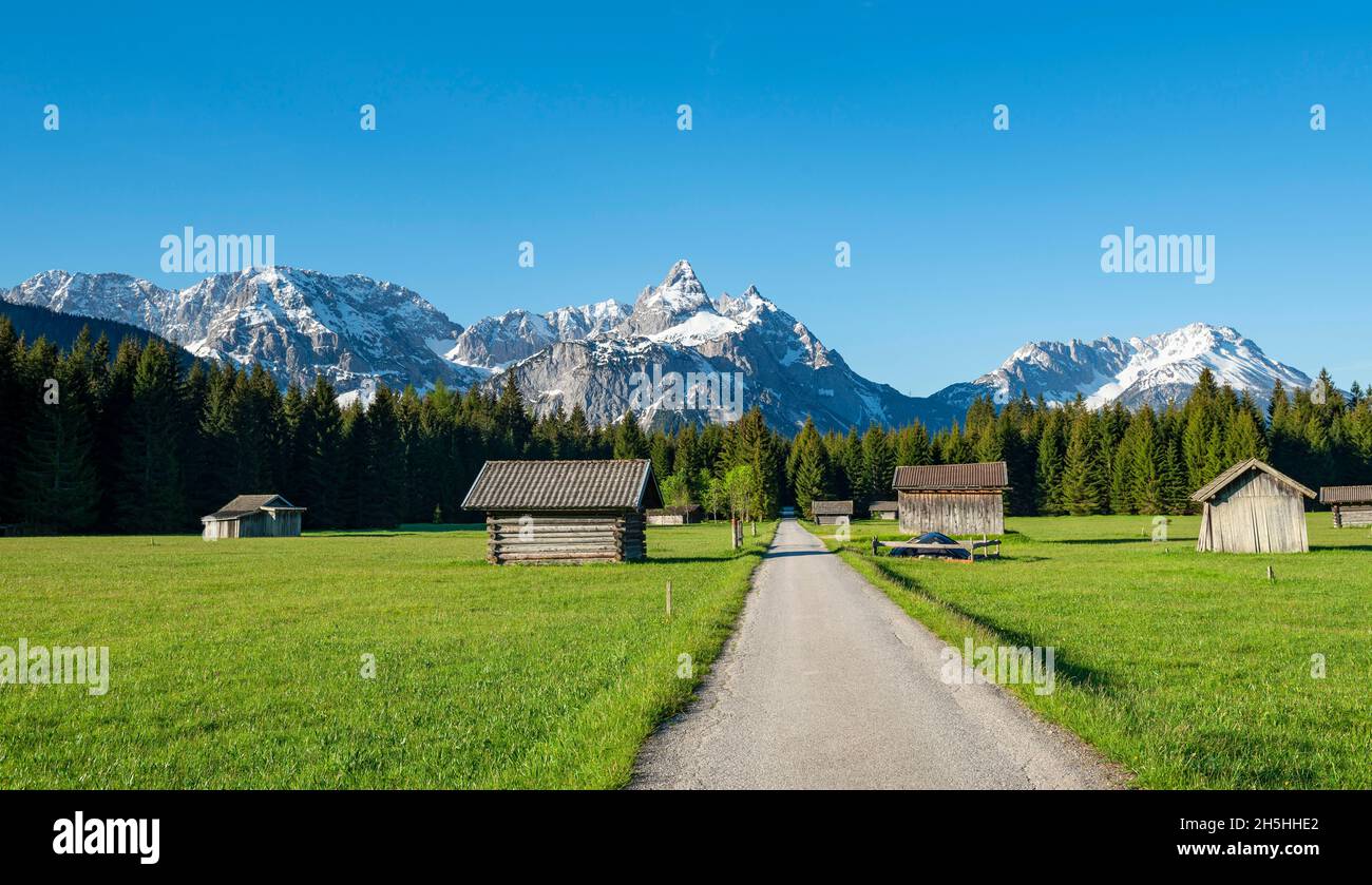 Strada attraverso prato con fienili, sullo sfondo vette innevate in primavera, Mieminger Kette con Ehrwalder Sonnenspitze, Ehrwald Foto Stock