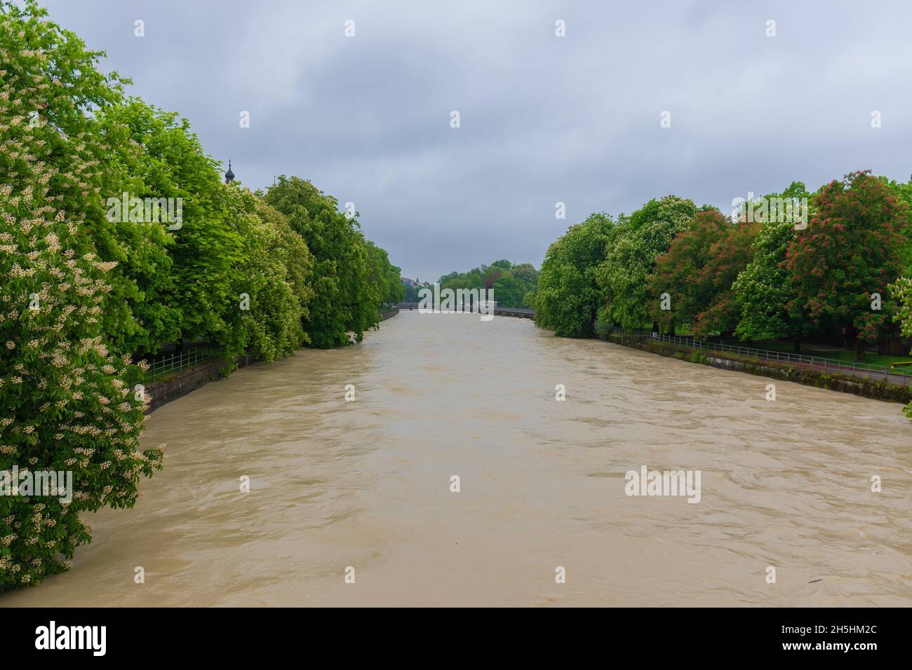 22 maggio 2019 - fiume Isar durante l'acqua alta. Castagne in fiore in primavera Foto Stock