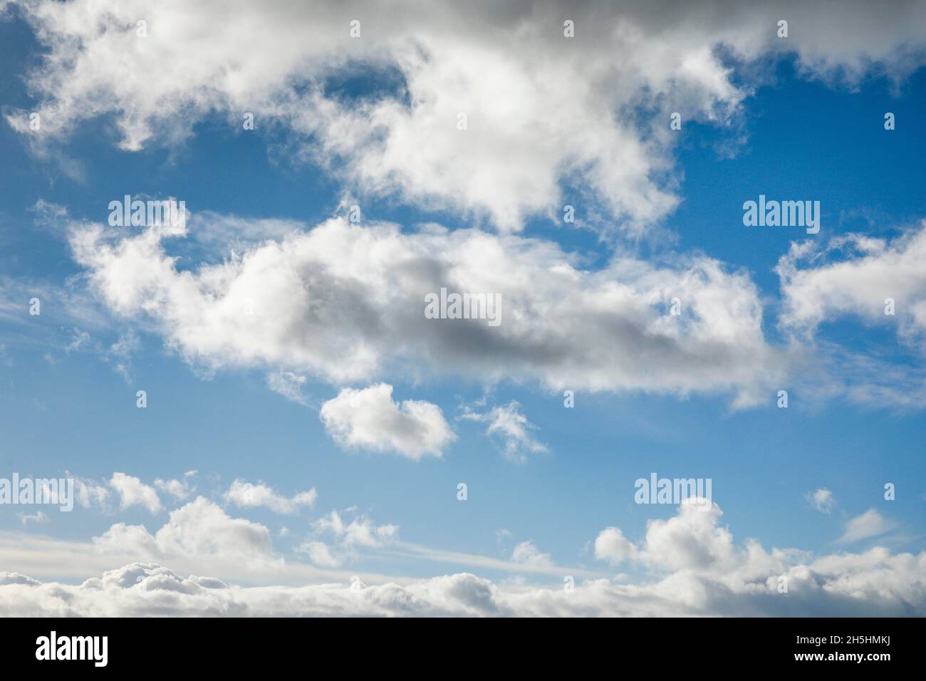 Pecora. Il velo e le nuvole (cumuli) adornano il cielo blu in forti venti Foto Stock