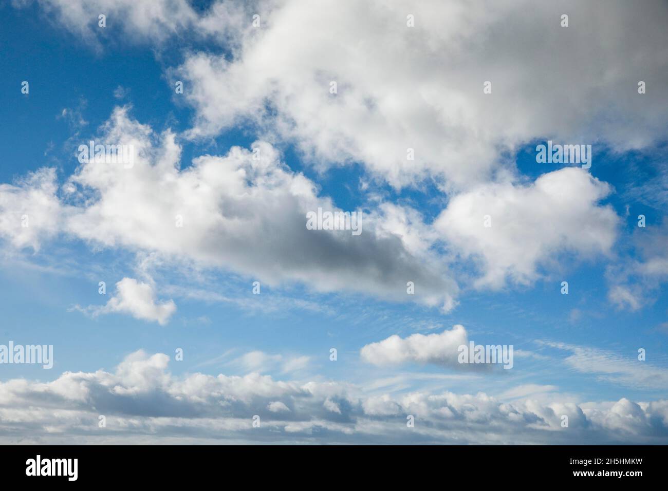 Pecora. Il velo e le nuvole (cumuli) adornano il cielo blu in forti venti Foto Stock