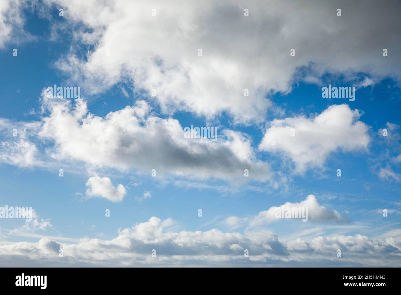 Pecora. Il velo e le nuvole (cumuli) adornano il cielo blu in forti venti Foto Stock