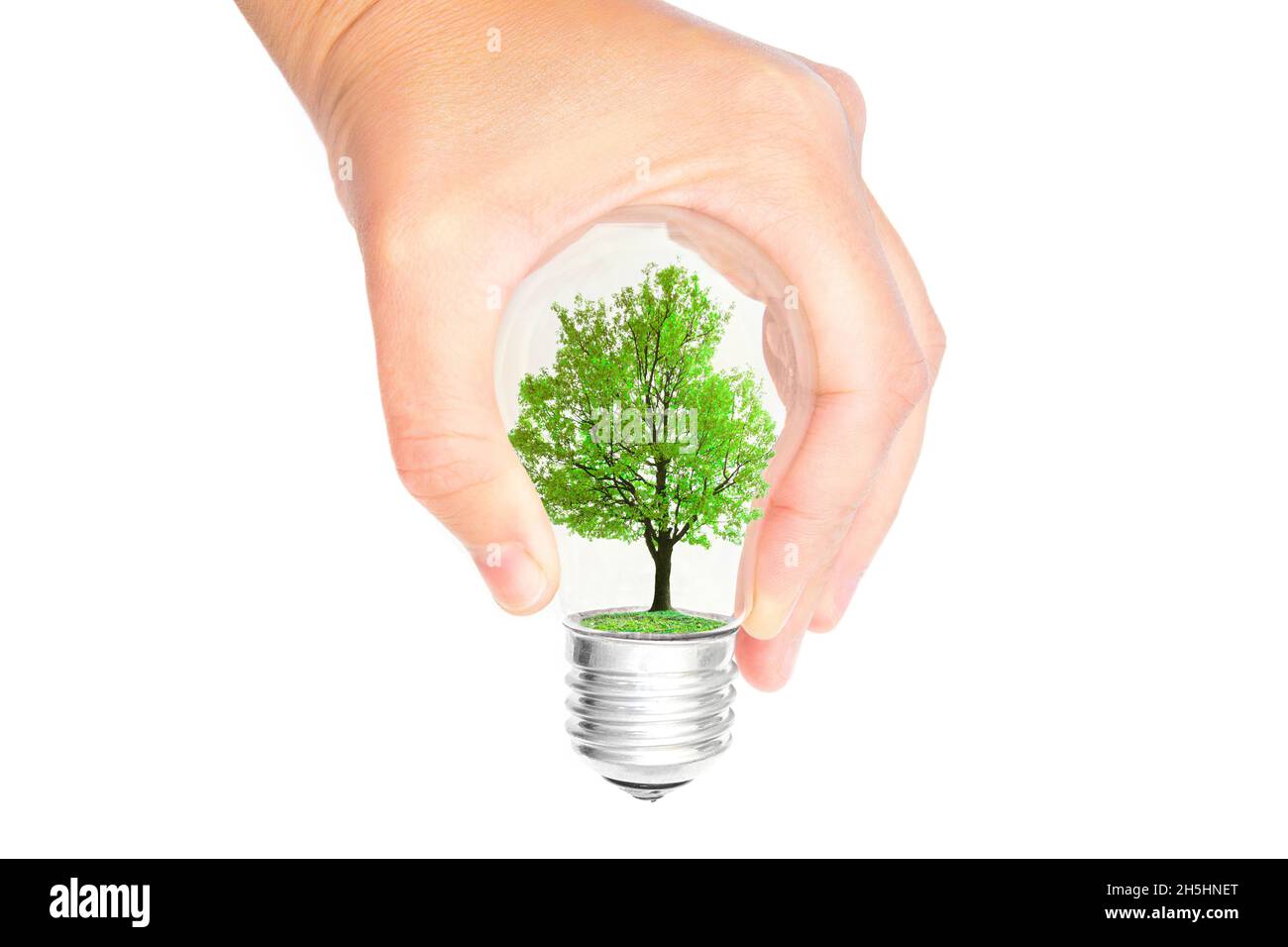 Mano femmina che tiene una lampadina con un albero verde all'interno isolato su bianco. Concetto di energia ecologica. Foto Stock