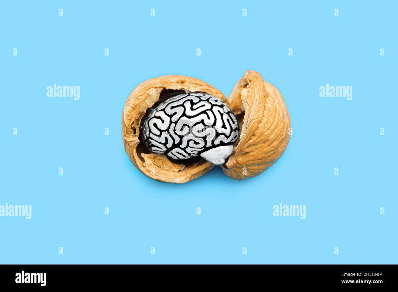 Cervello in acciaio in miniatura in un guscio di noce isolato su sfondo blu. Concetto essenziale di cibo del cervello. Foto Stock