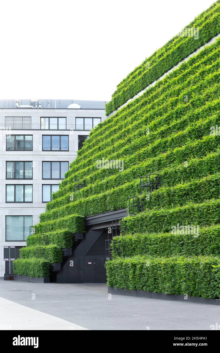KOe-Bogen II sede e edificio commerciale, paesaggistico con siepi di carpino, architetto Christoph Ingenhoven, Duesseldorf, Renania, Nord Foto Stock
