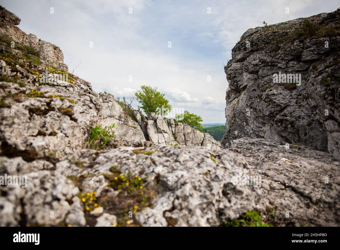 Vista sulla cima della scogliera, paesaggio con uomo che sale su pareti della scogliera con alberi in cima | Rock paesaggio di picco della scogliera, sporgenza con piante e alberi in estate Foto Stock