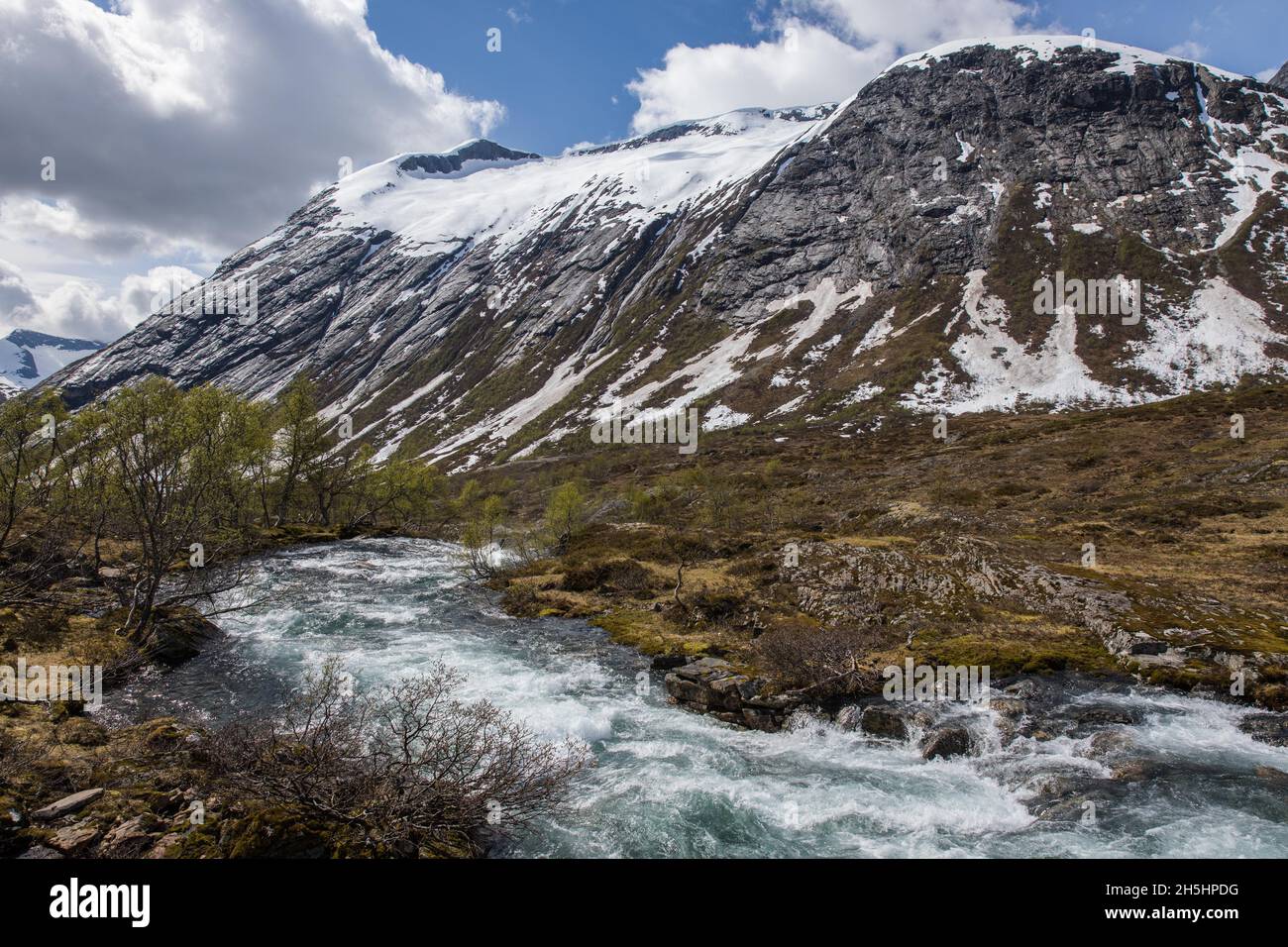 Paesaggio di montagna, Strynevegen, Sogn og Fjordane, Norvegia Foto Stock