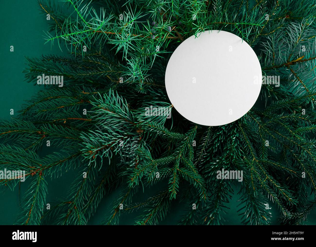 Sfondo verde di Natale. Rami di pino, aghi e alberi di Natale. Vista dall'alto. Cornice rotonda con la posizione per il testo. Sfondo natura di Natale. Concetto di umore di dicembre. Spazio di copia. Foto Stock