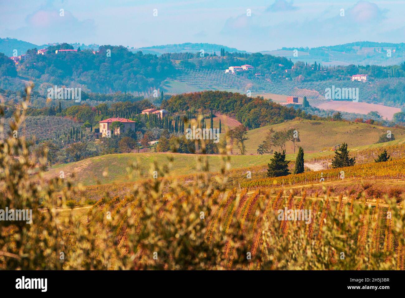 Regione del Chianti in provincia di Siena. Toscana paesaggio, Italia Foto Stock