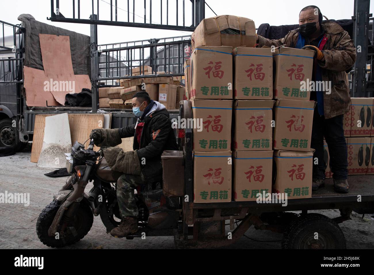 Harbin, la provincia cinese di Heilongjiang. 10 novembre 2021. I lavoratori trasportano ortaggi in un mercato a Harbin, provincia Heilongjiang della Cina nord-orientale, 10 novembre 2021. Di fronte alle recenti tempeste di neve e di freddo, le autorità locali di Harbin hanno lanciato un programma di risposta alle emergenze per garantire l'approvvigionamento di energia, gas e calore, garantendo la normale vita delle persone. Credit: Zhang Tao/Xinhua/Alamy Live News Foto Stock