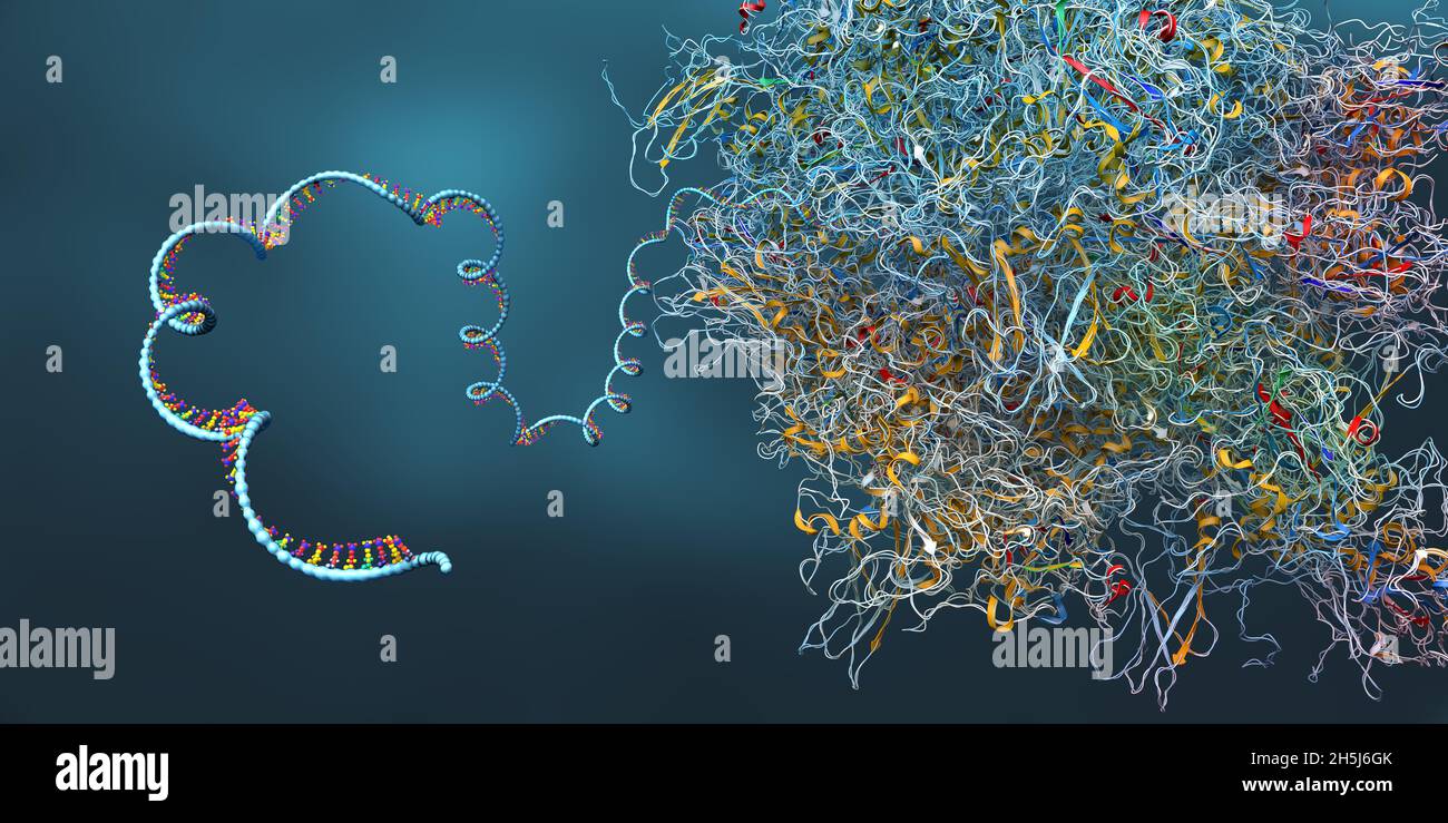 Ribosoma come parte di una cellula biologica che costruisce una molecola di rna messaggero - illustrazione 3d Foto Stock