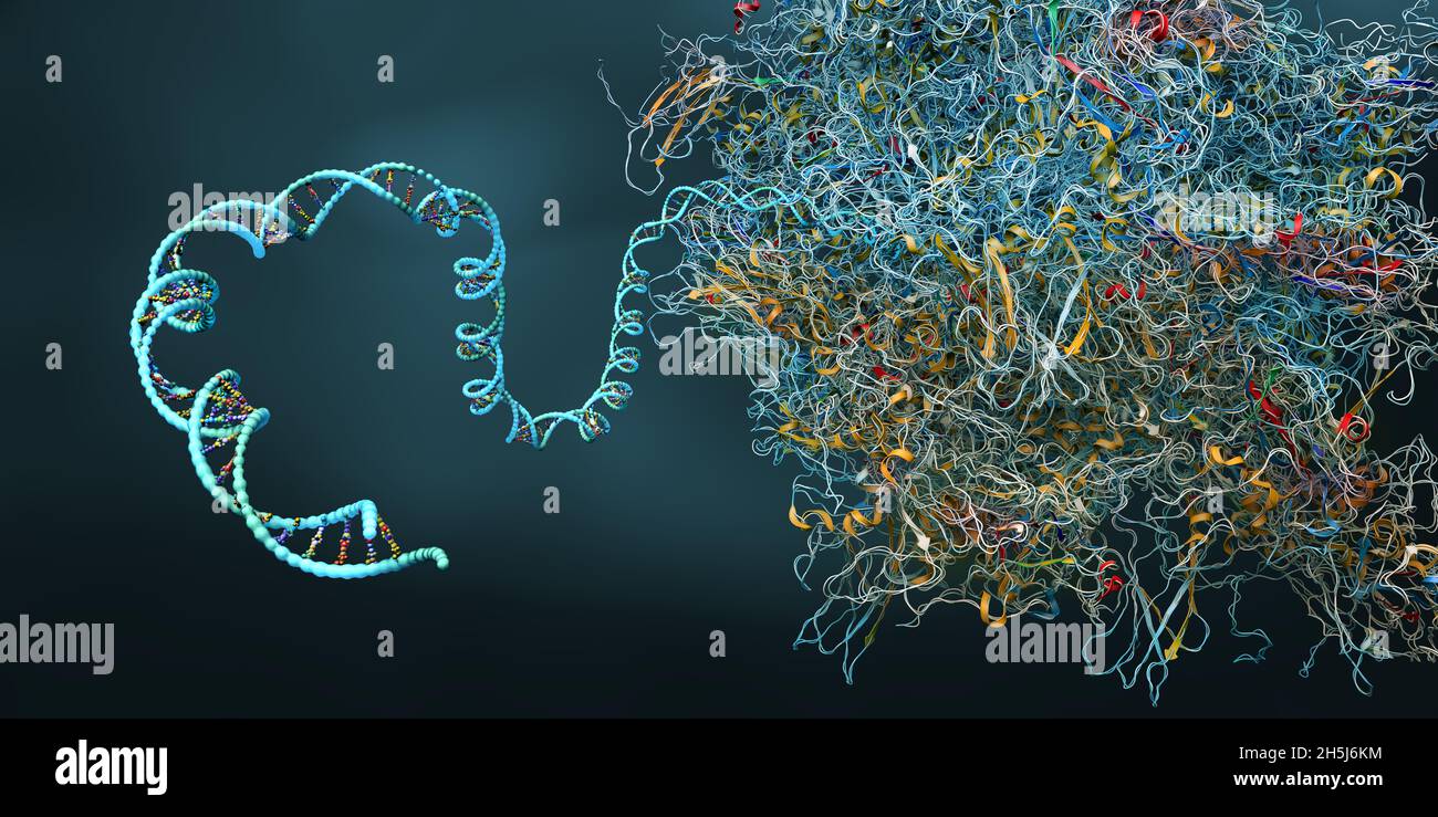 Ribosoma come parte di una cellula biologica che costruisce una molecola di rna messaggero - illustrazione 3d Foto Stock
