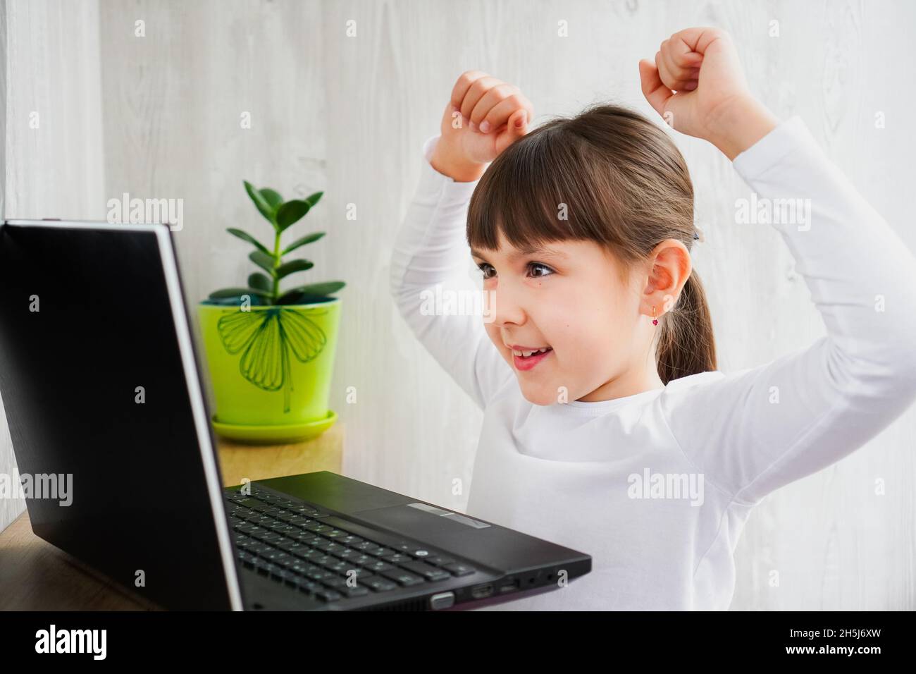 Scatto interno di cute femmina pelata scura bambino guardando il notebook celebrare la vittoria con le mani sopra la testa Foto Stock