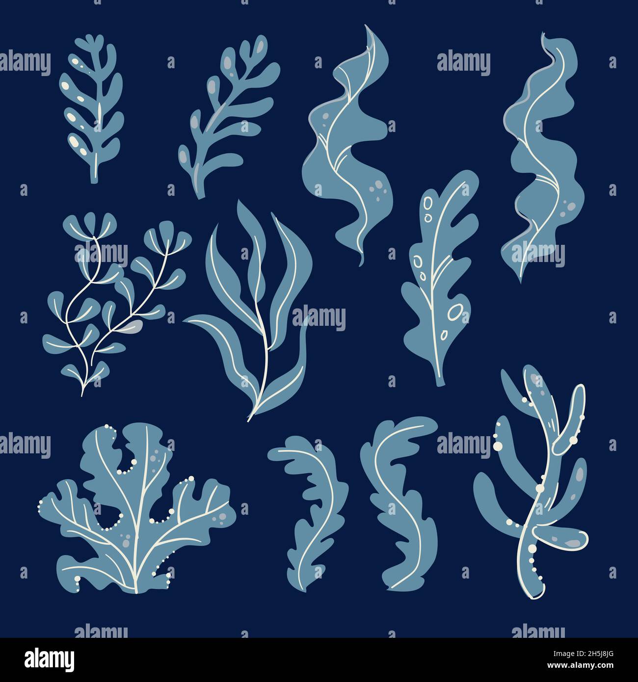 Set di alghe acquerello, coralli e pietre isolate su sfondo bianco. Set di alghe acquerello subacqueo. Collezione di piante acquatiche. Vettore marino Foto Stock